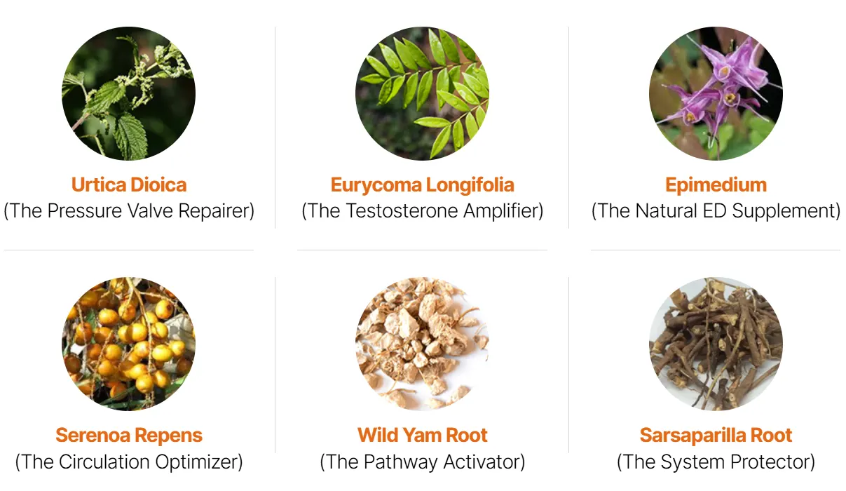 Primal TRT Natural Ingredients Breakdown